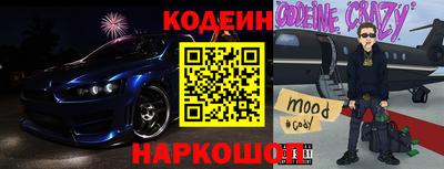 крисы Кулебаки