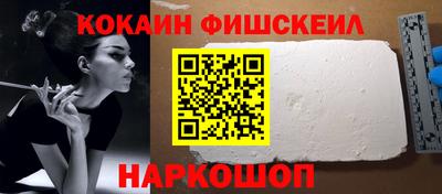крисы Кулебаки