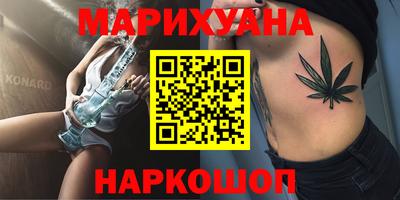 крисы Кулебаки