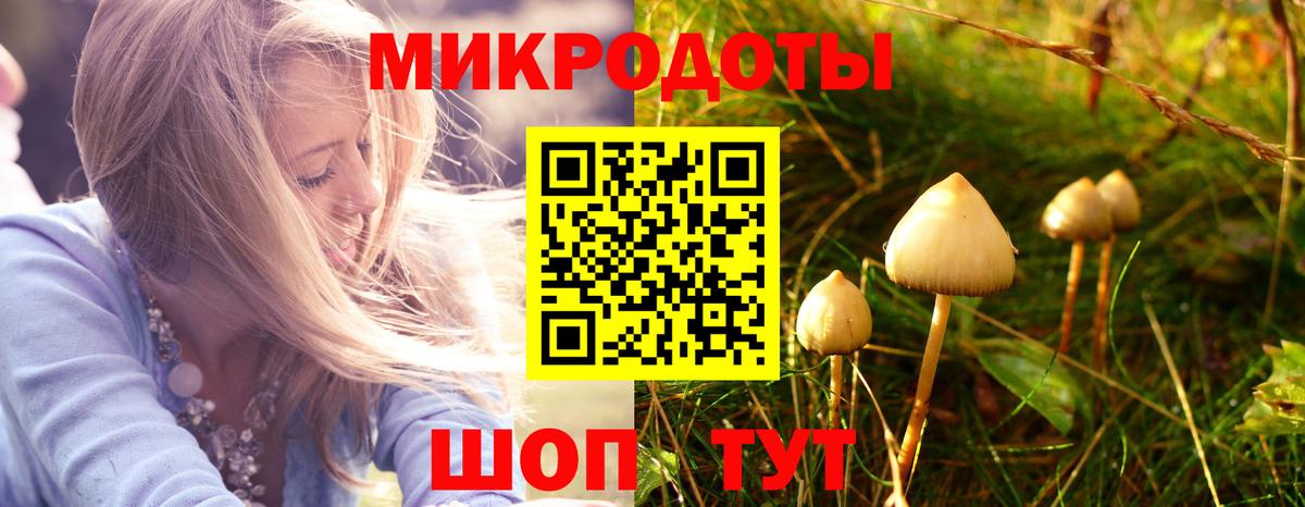 Зеленокумск  Псилоцибиновые грибы Psilocybe  что такое   Вход с VPN 